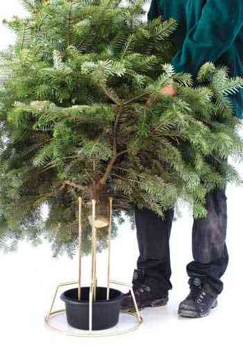 christmas tree stands wholesale