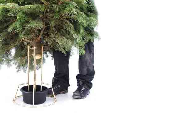 christmas tree stands wholesale