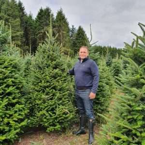 real christmas tree wholesale